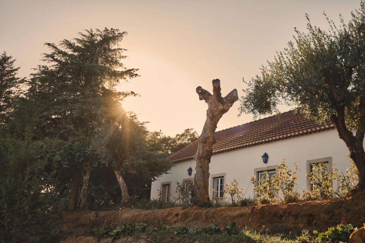 Quinta Dos Anjos Gospodarstwo wiejskie Santarém
